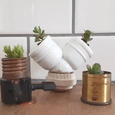 3 tiny plants in tiny pots made from old lamp parts