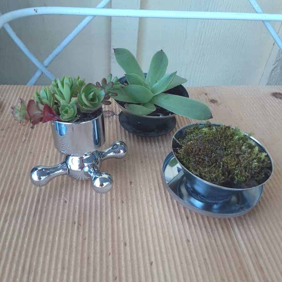 3 tiny plants in tiny pots made from plumbing parts