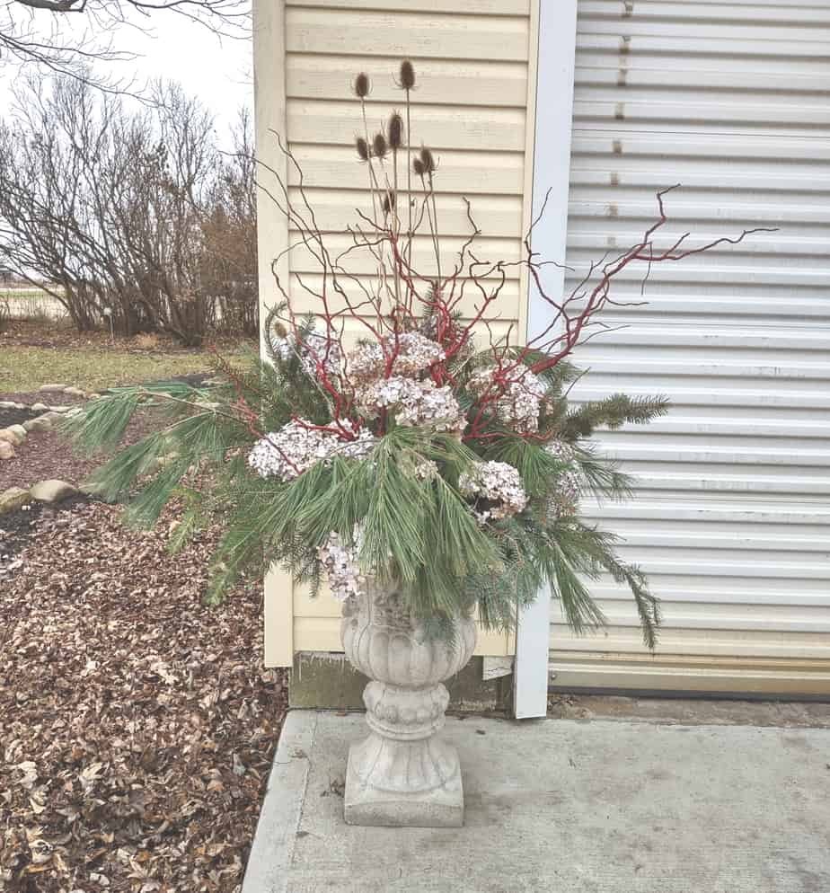 Winter Curly Willow arrangement