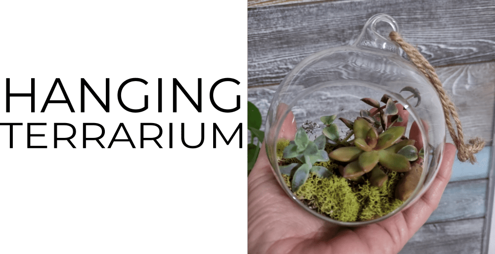 Hanging Terrarium Petals and Metal Flower Farm