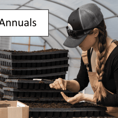 woman starting seeds in a tray
