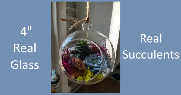 Hanging Terrarium Workshop