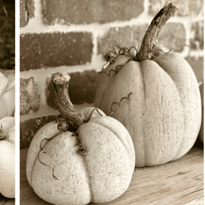Adorable Concrete Pumpkins Workshop