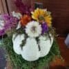 white painted hypertufa pumpkin