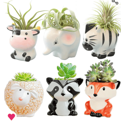 Animal Pots