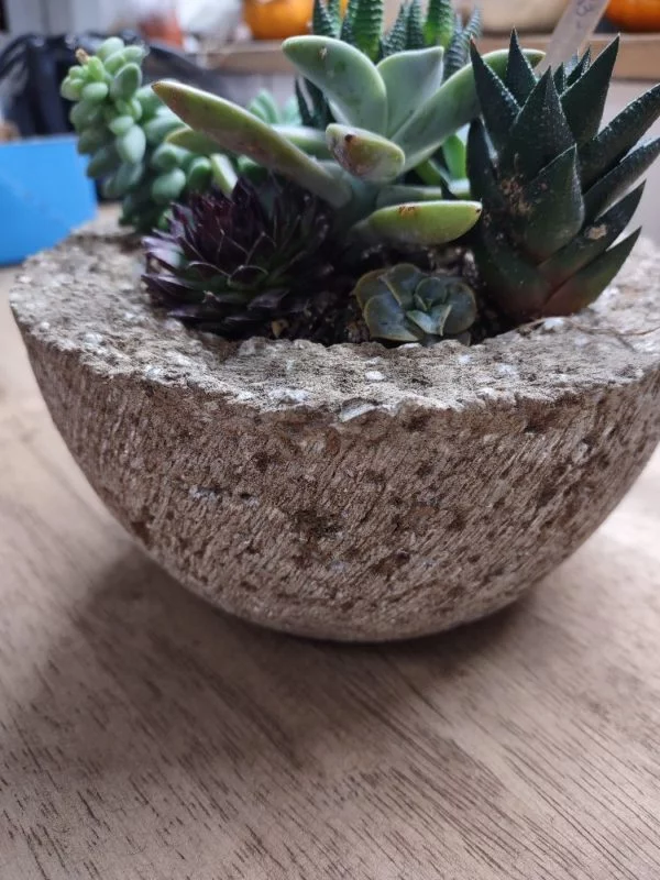 Hypertufa Succulent Container - Image 7