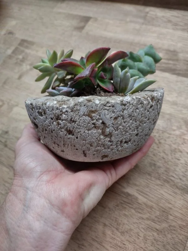 Hypertufa Succulent Container - Image 8