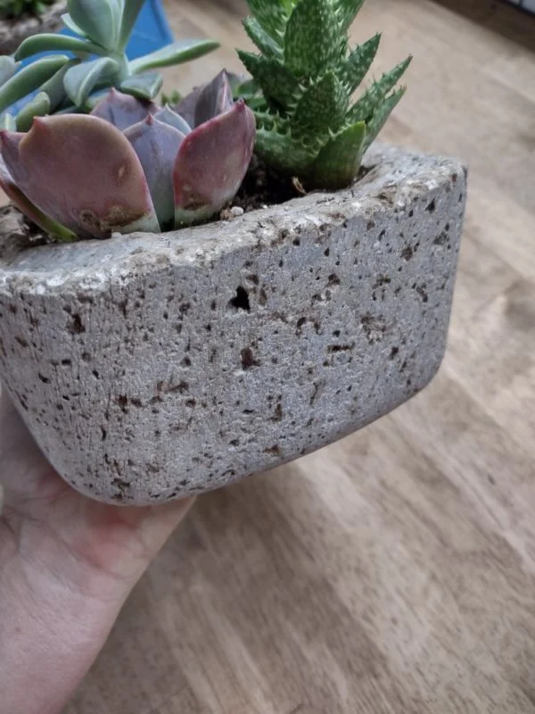 Hypertufa Succulent Container - Image 3