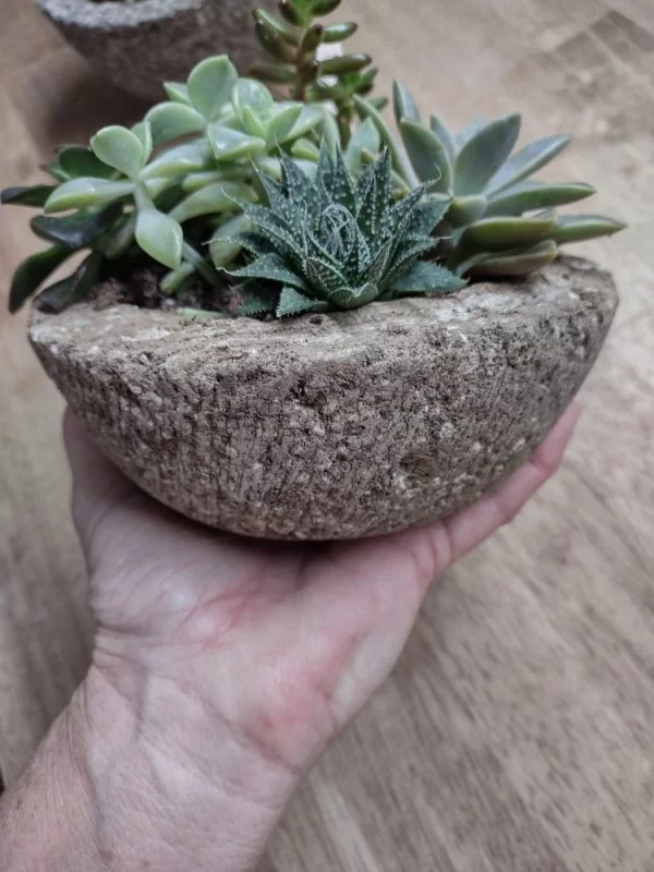 Hypertufa Succulent Container - Image 5