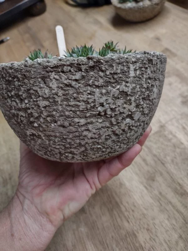 Hypertufa Succulent Container - Image 2