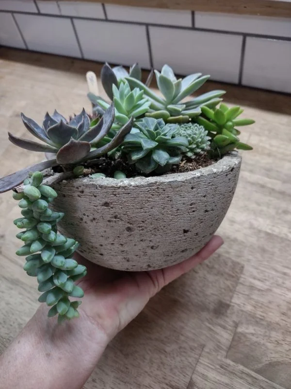 Hypertufa Succulent Container - Image 10