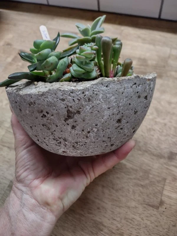 Hypertufa Succulent Container - Image 6