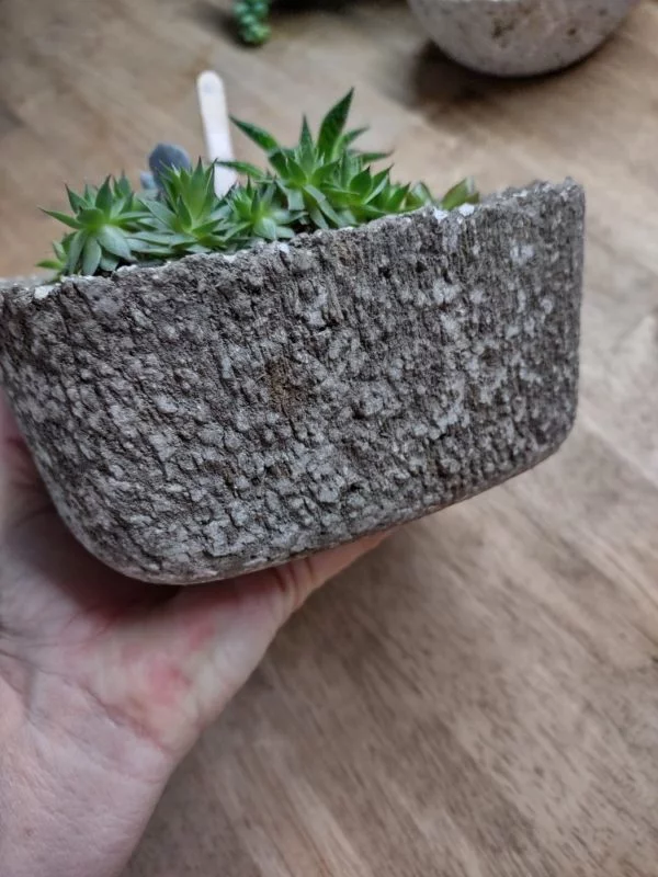 Hypertufa Succulent Container - Image 4