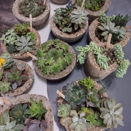 Hypertufa Succulent Container
