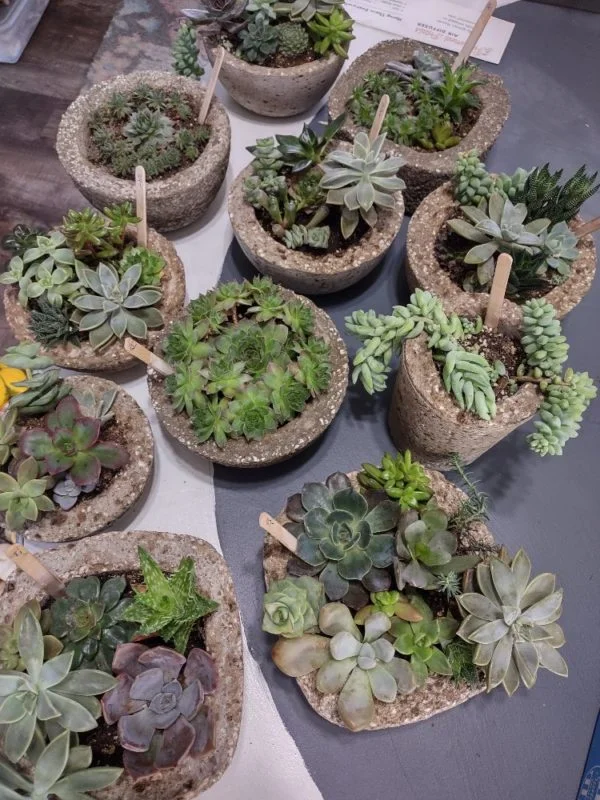 Hypertufa Succulent Container