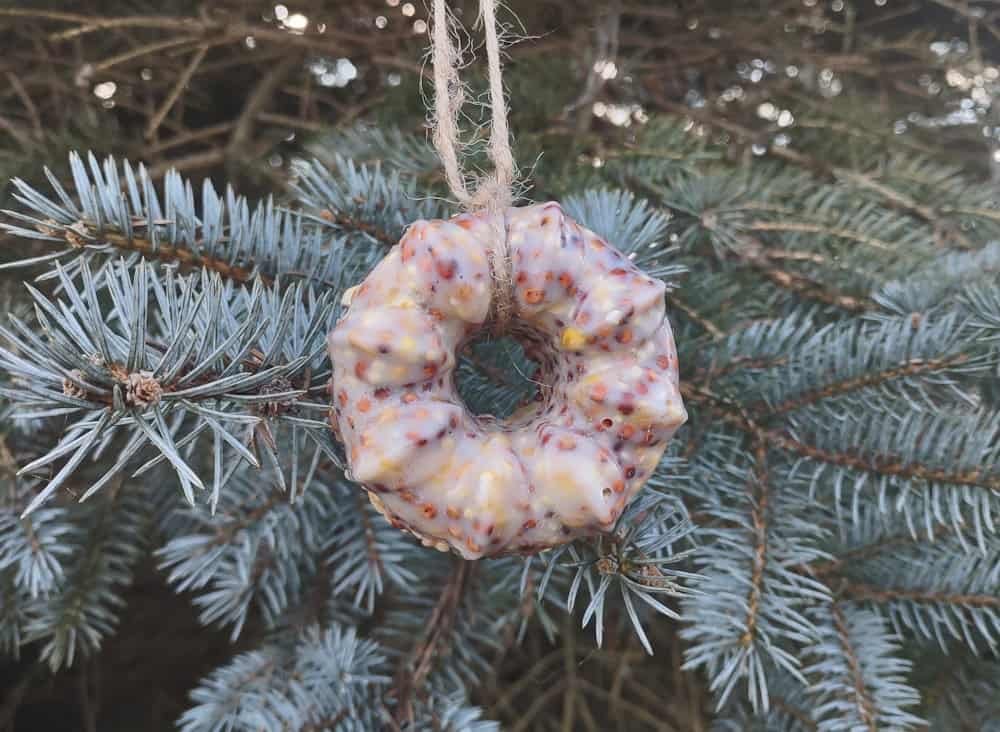 bird seed in the shape of a bundt cake