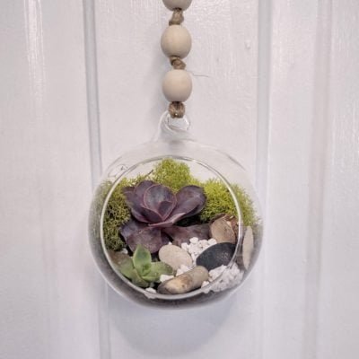 Hanging Succulent Terrarium