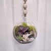 Hanging Succulent Terrarium - Thumbnail Image 1