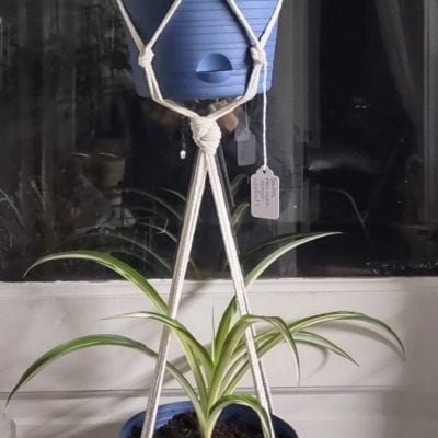 Double Macrame Hanger with Plants
