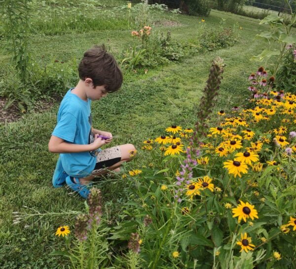 child adding cut flowers to a recycled card