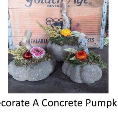 concrete pumpkins