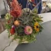 Succulent Pumpkin Centerpiece - October 8, 2026 - Thumbnail Image 3
