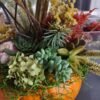 Succulent Pumpkin Centerpiece - October 8, 2026 - Thumbnail Image 5