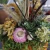 Succulent Pumpkin Centerpiece - October 8, 2026 - Thumbnail Image 6