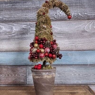 berried christmas tree with moss