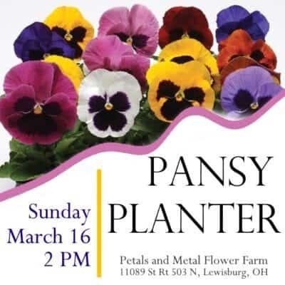 pansy planter