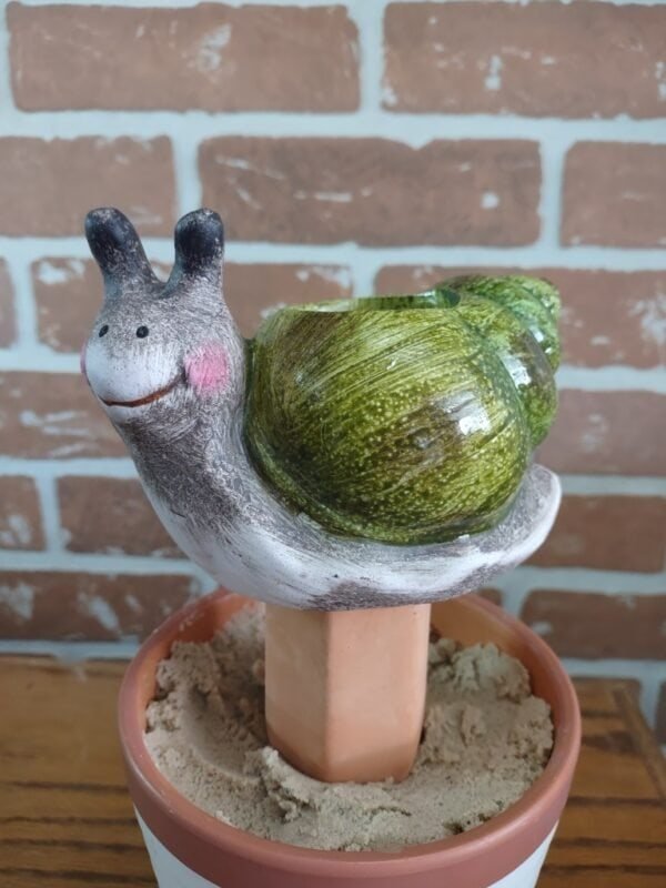 Snail Plant Watering Stake