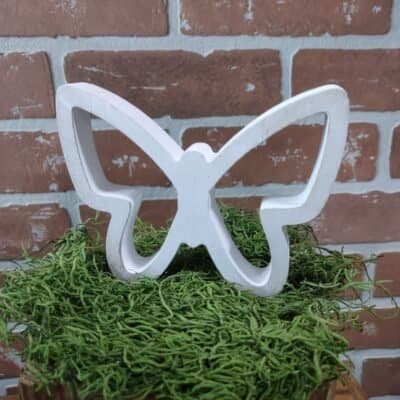 Small Hollow Butterfly