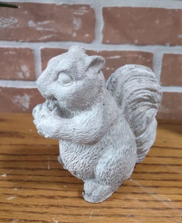 Baby Squirrel