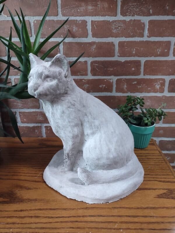 Sitting Cat