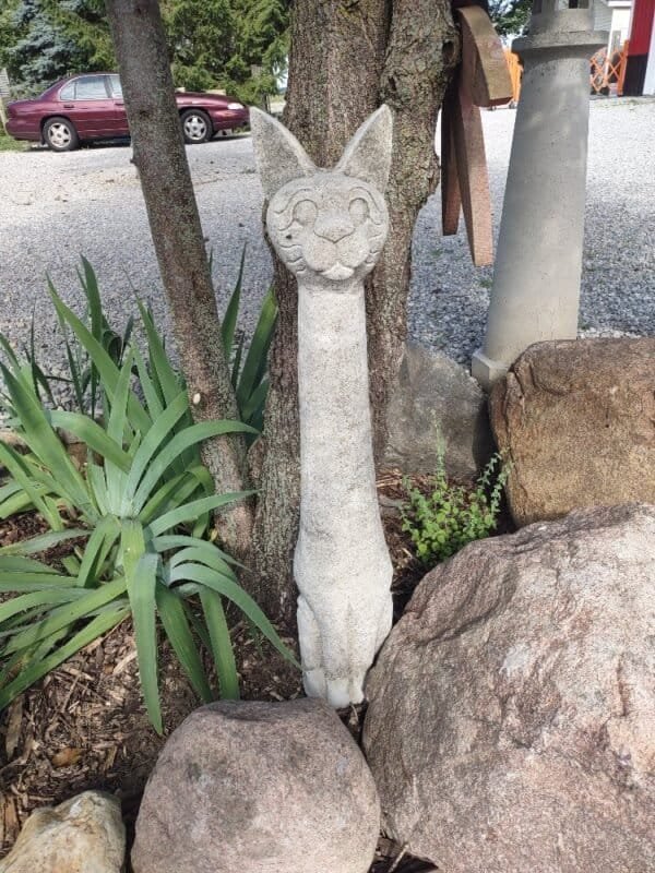 Pole Cat