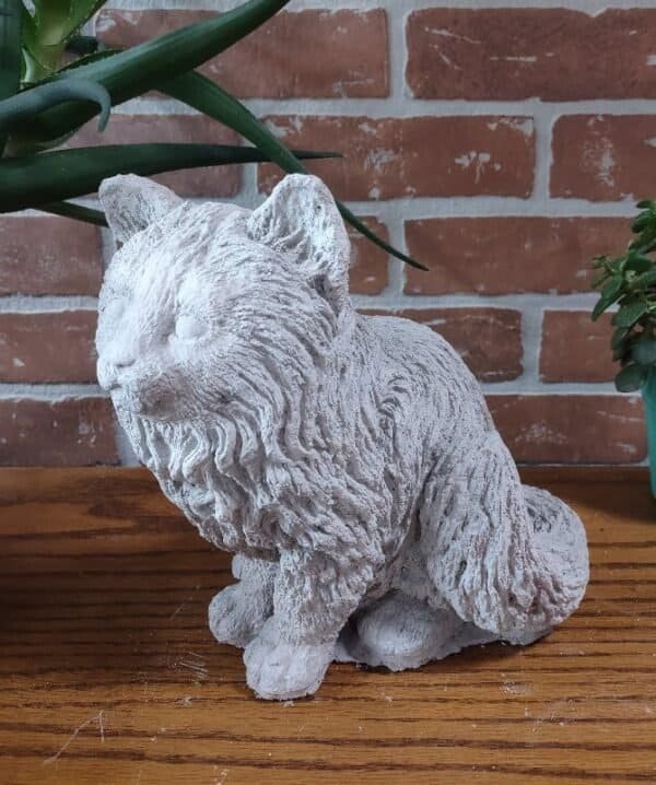 Fuzzy Sitting Cat