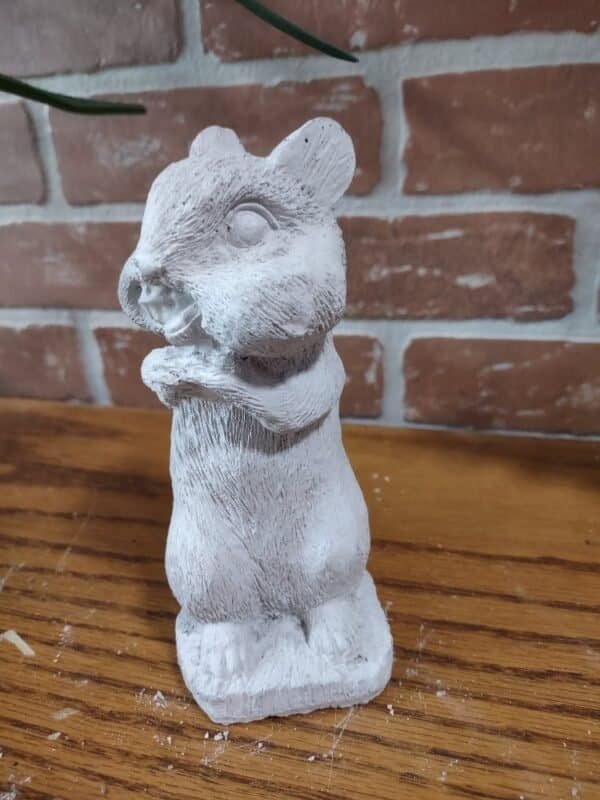 Chipmunk w/ Mouthful