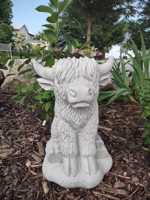 Highland Cow, Sitting