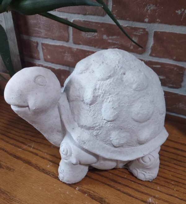 Lg. Cute Turtle