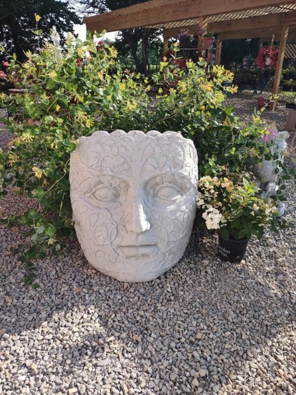 Huge Face