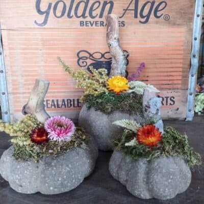 decorated hypertufa pumpkins
