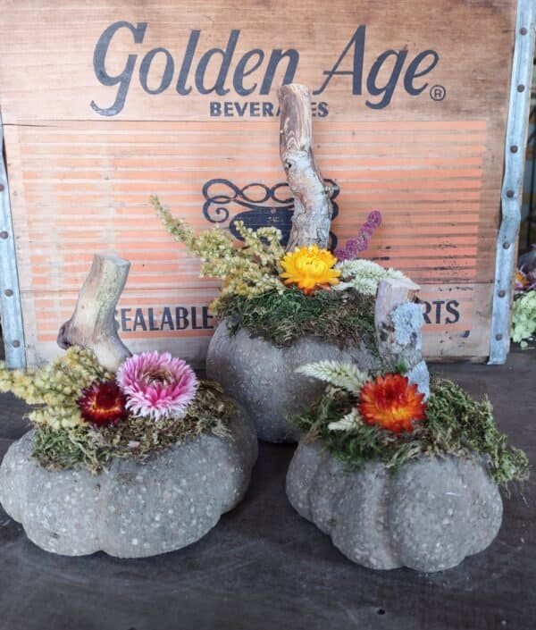 decorated hypertufa pumpkins
