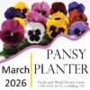 pansyplanter2026
