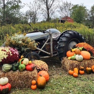 Fall decorated tractor