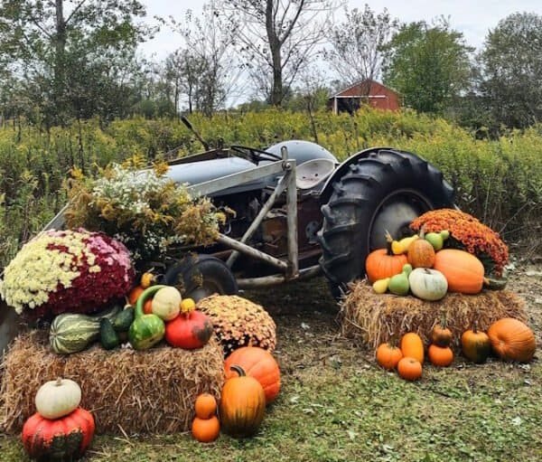 Fall decorated tractor