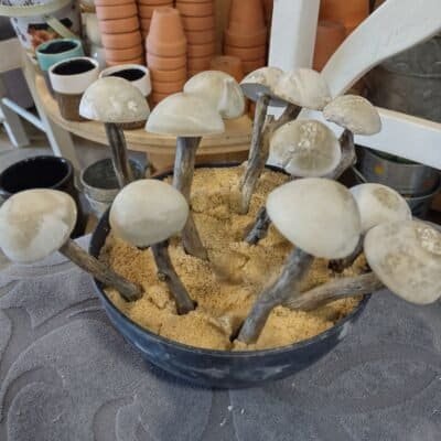 Mini Mushroom with twig stem