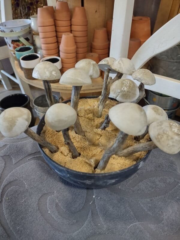 Mini Mushroom with twig stem