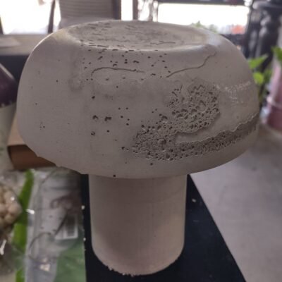 Concrete Mushroom