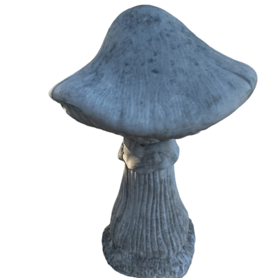 concrete mushroom