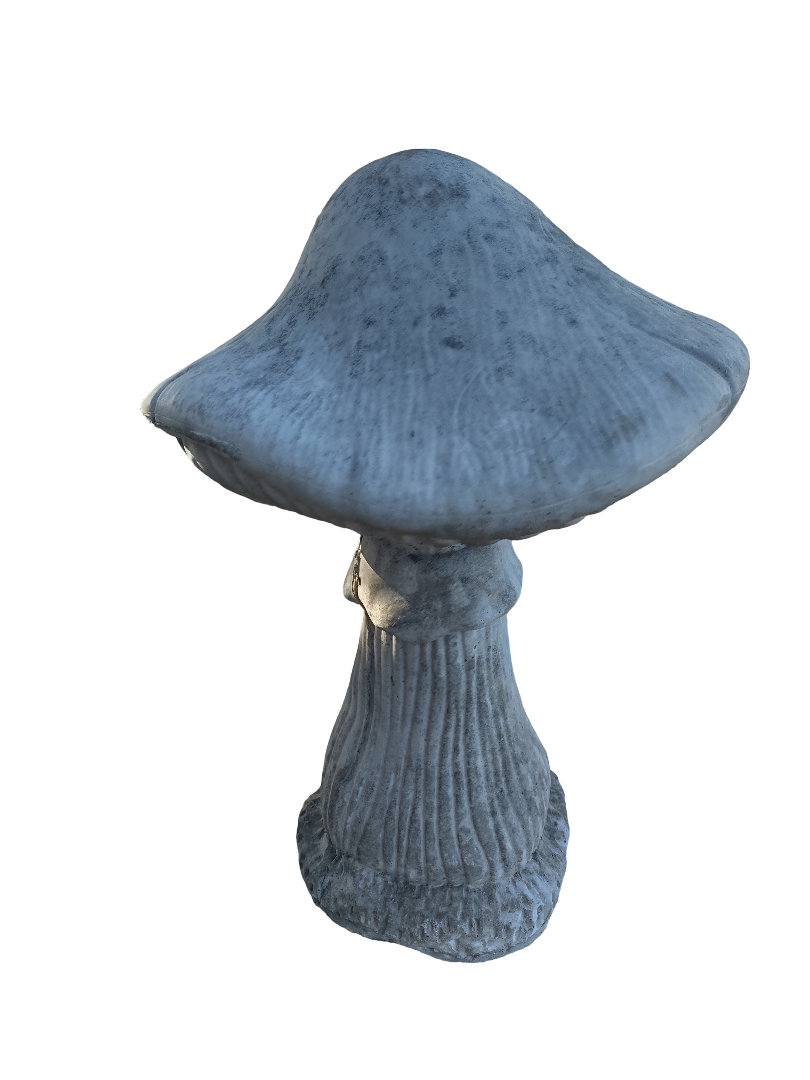 concrete mushroom